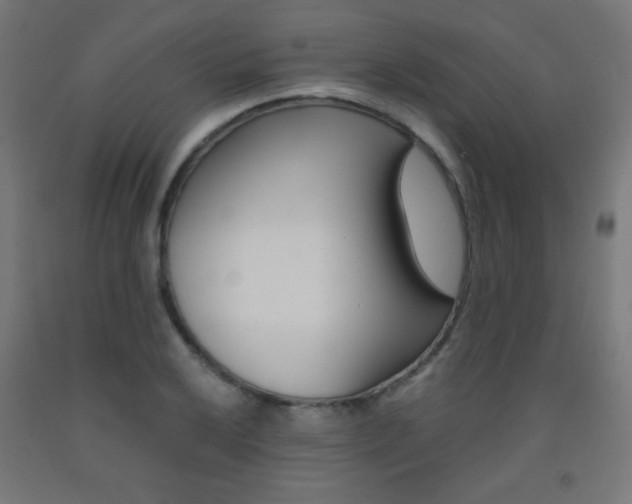 X0000093231032200709261505