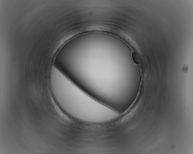 X0000093231033200709261505