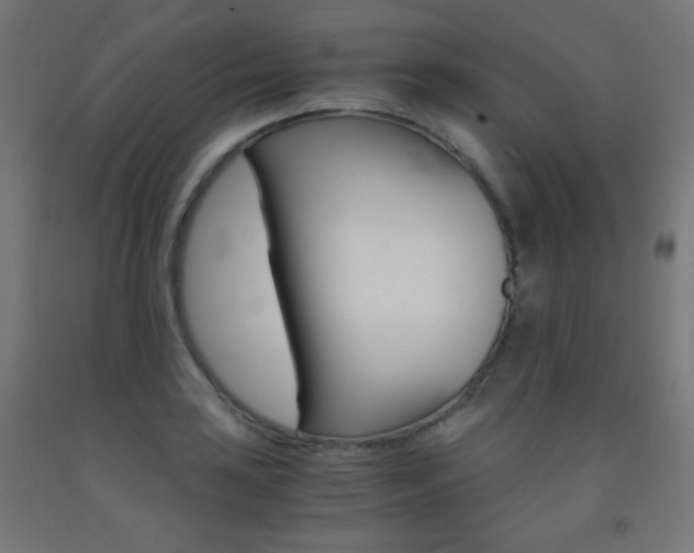 X0000093231035200709261505