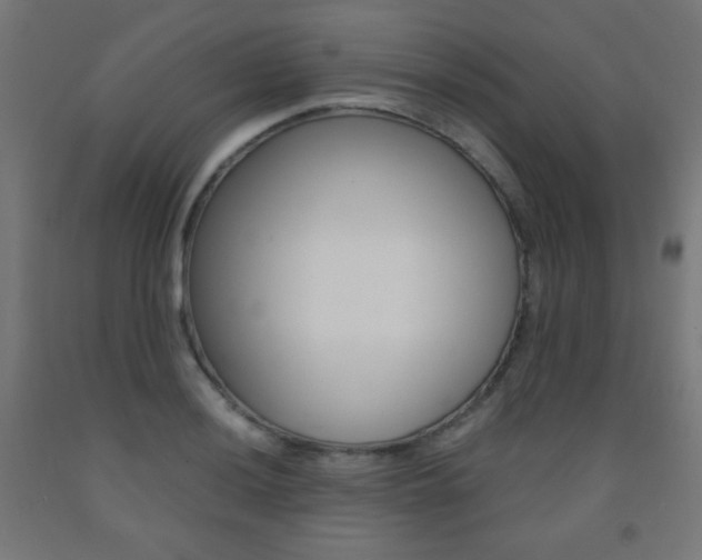 X0000093231036200709261505