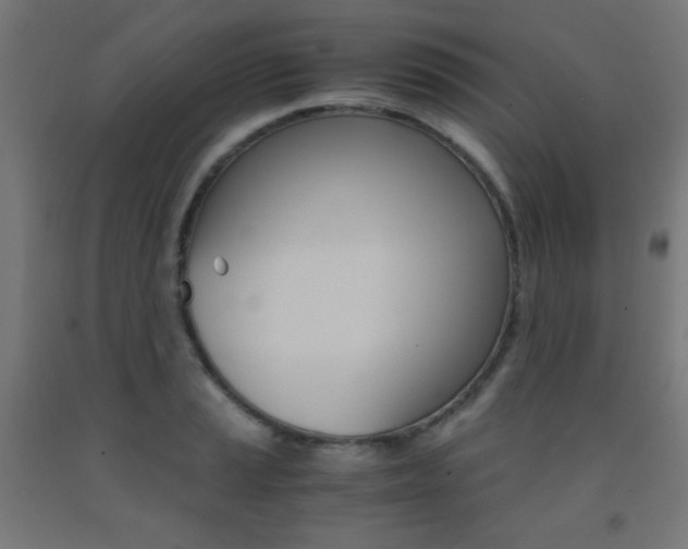 X0000093231037200709261505