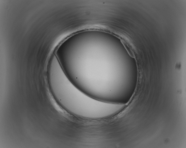 X0000093231038200709261505