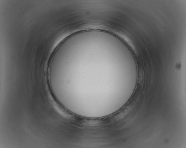 X0000093231039200709261505