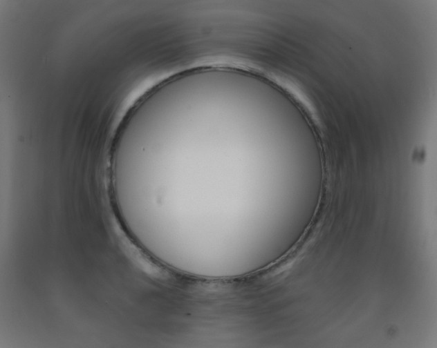 X0000093231040200709261505