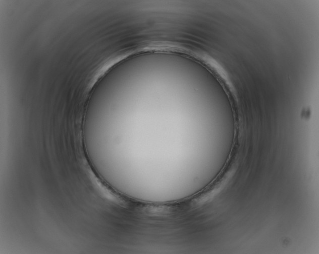 X0000093231041200709261505