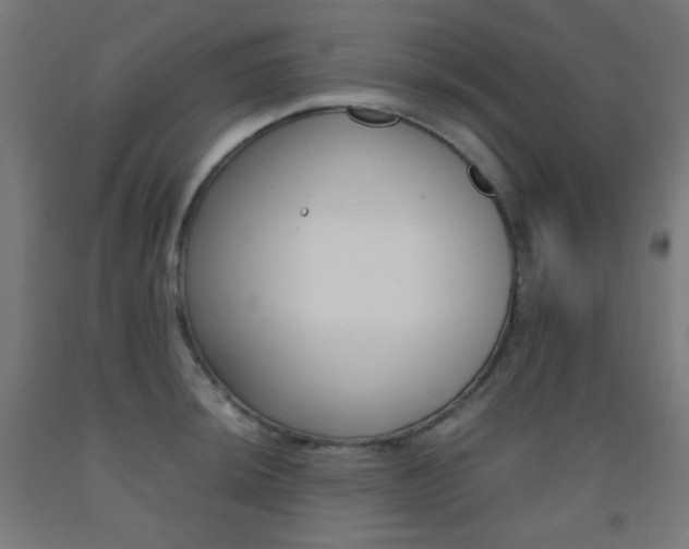 X0000093231044200709261505