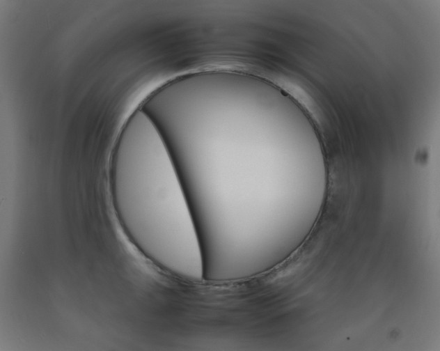 X0000093231047200709261505