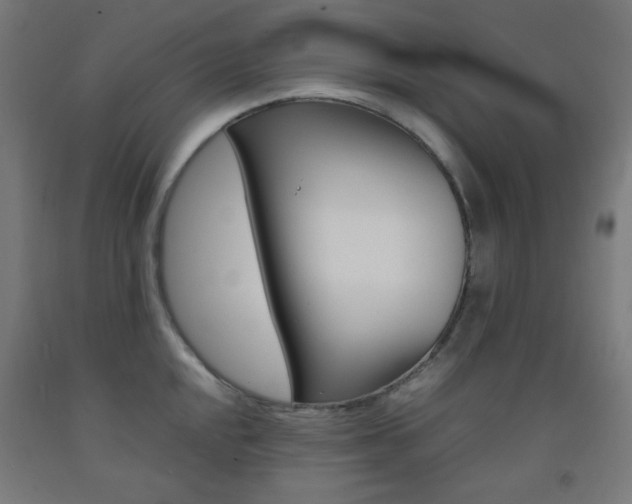 X0000093231048200709261505
