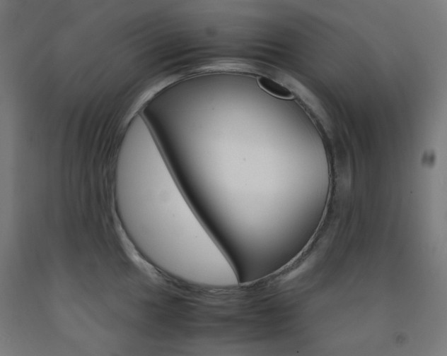 X0000093231049200709261505