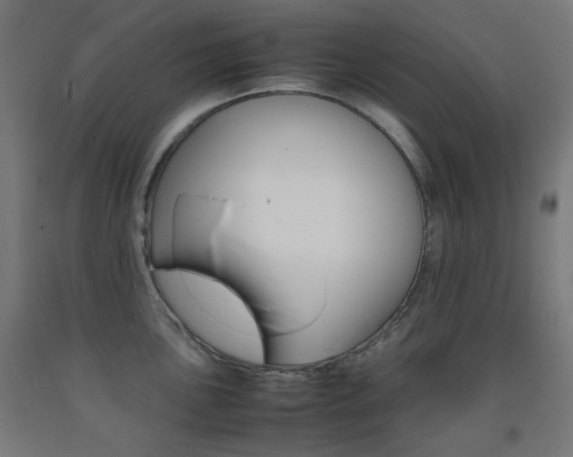 X0000093231051200709261505