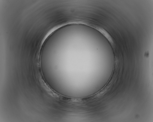 X0000093231052200709261505