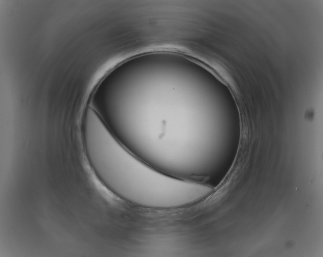 X0000093231054200709261505