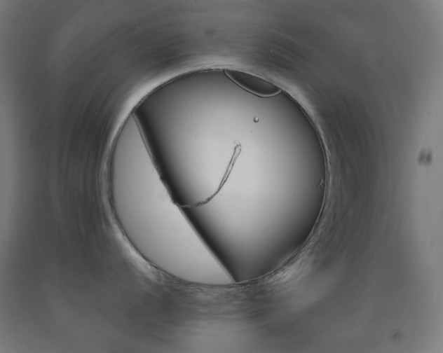 X0000093231056200709261505