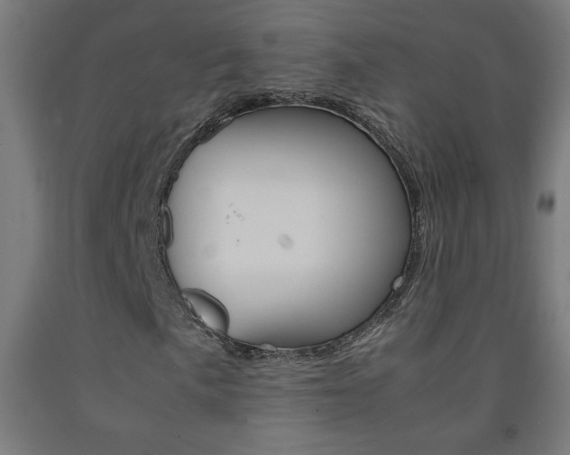 X0000093231057200709261505