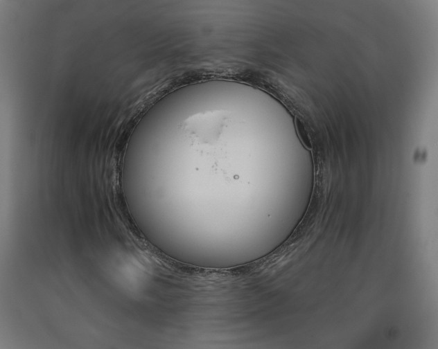X0000093231058200709261505