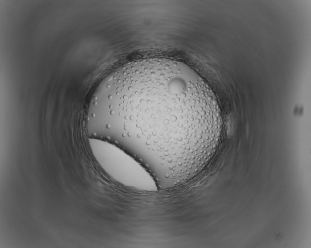 X0000093231059200709261505