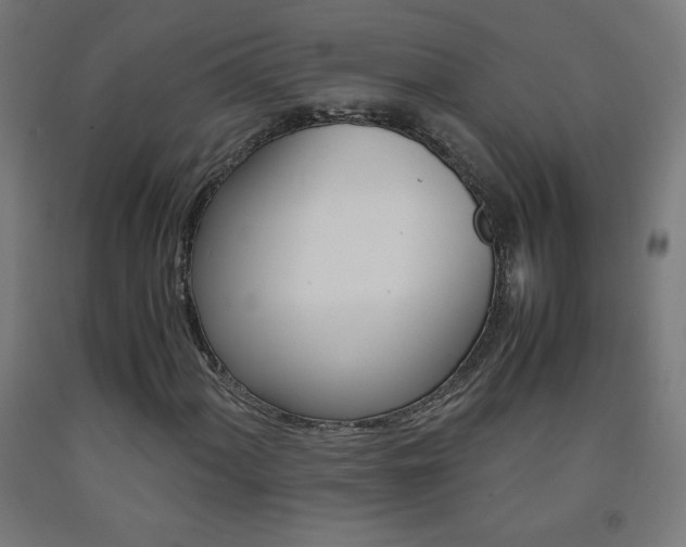 X0000093231060200709261504