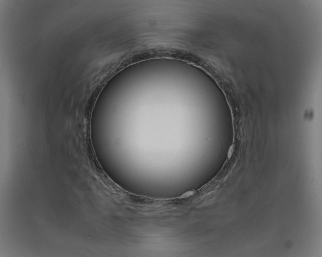 X0000093231061200709261504