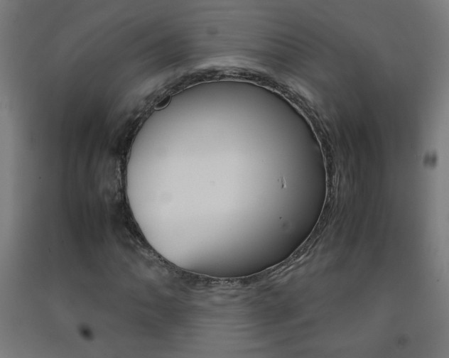 X0000093231062200709261504