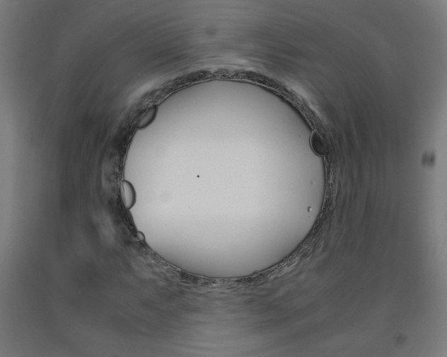 X0000093231063200709261504