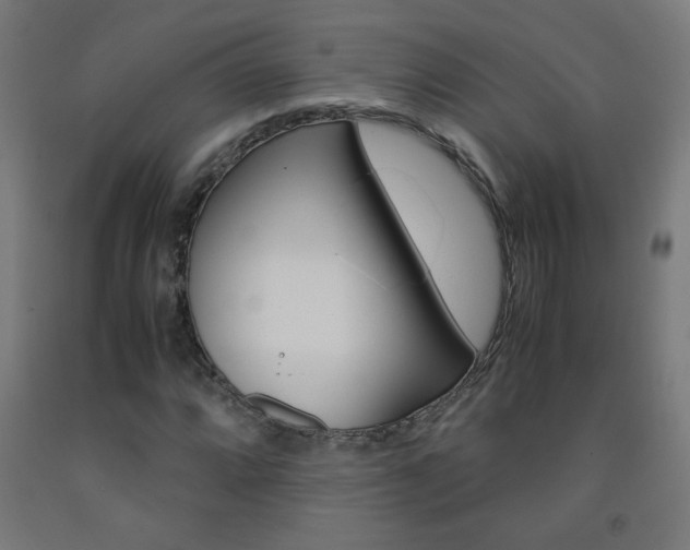 X0000093231064200709261504