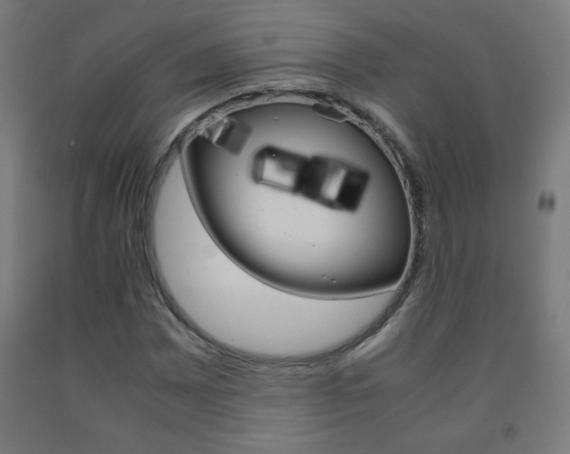 X0000093231065200709261504