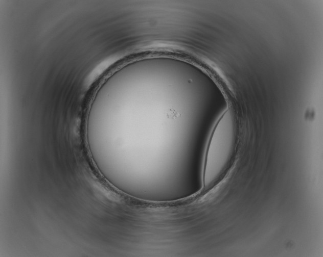 X0000093231066200709261504
