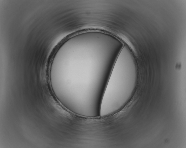 X0000093231068200709261504