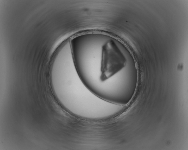 X0000093231069200709261504