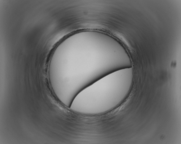 X0000093231071200709261504