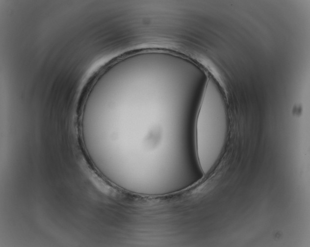 X0000093231072200709261504