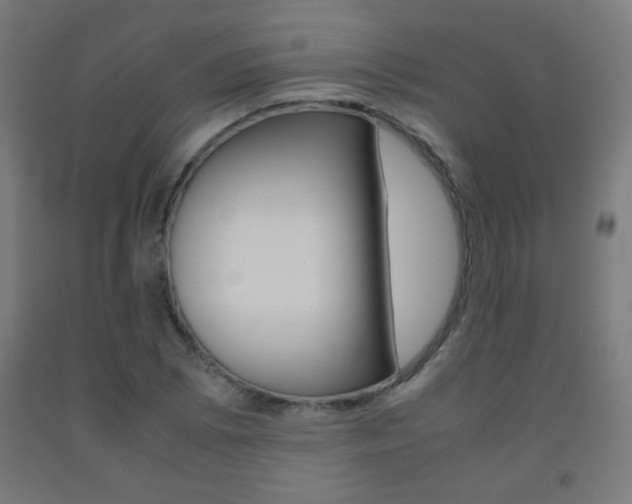 X0000093231073200709261504