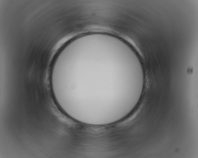 X0000093231074200709261504