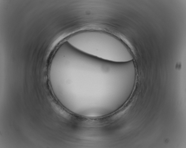X0000093231075200709261504