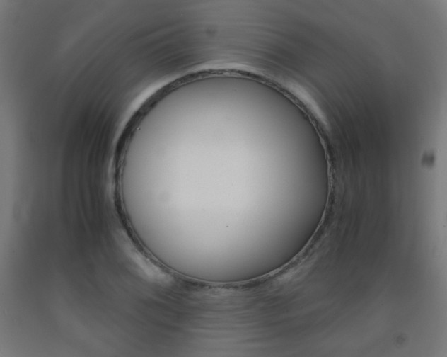 X0000093231076200709261504