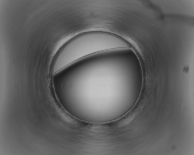 X0000093231077200709261504