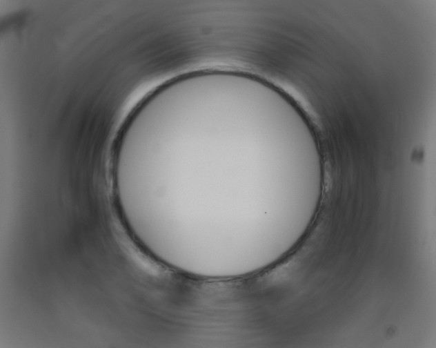 X0000093231078200709261504