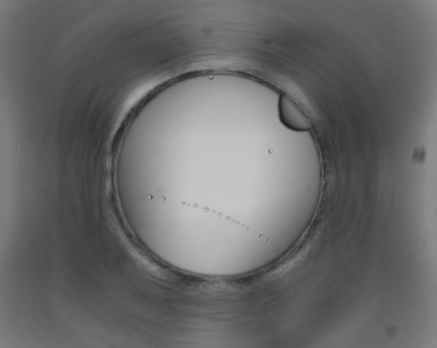 X0000093231079200709261504