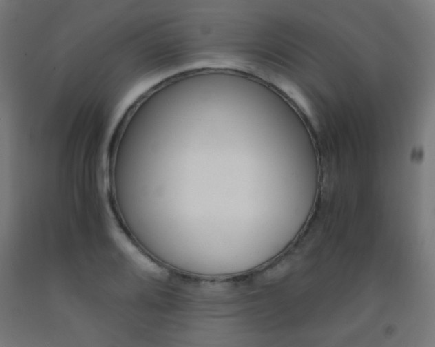 X0000093231080200709261504