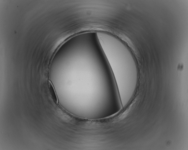 X0000093231081200709261504