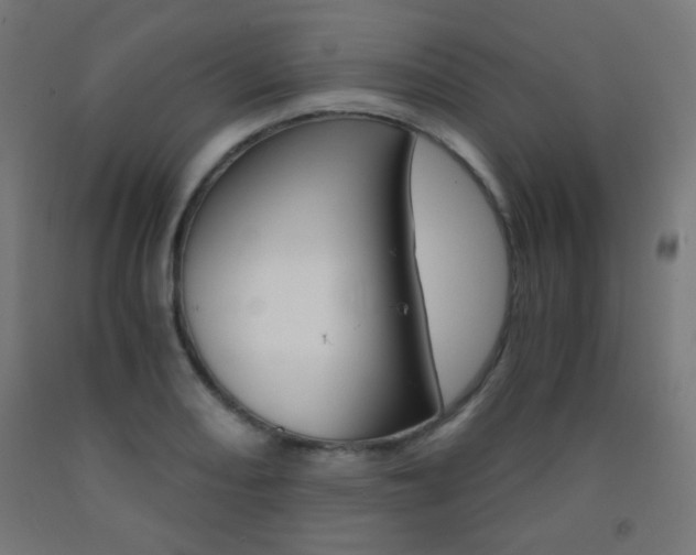 X0000093231082200709261504