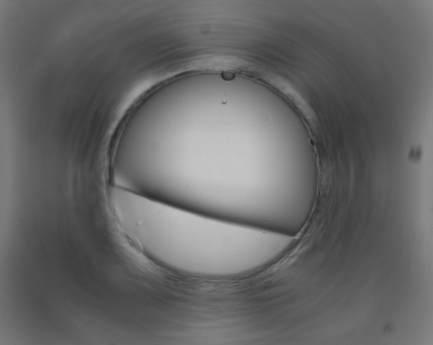 X0000093231083200709261504