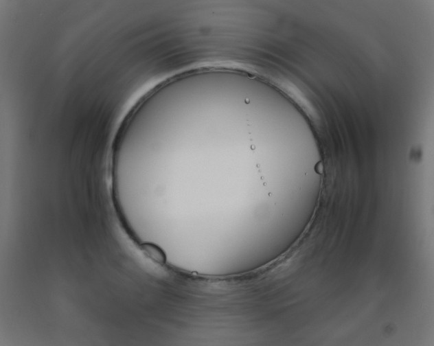 X0000093231084200709261504
