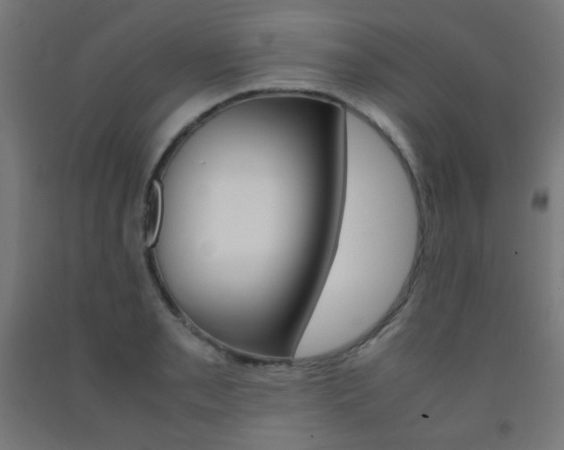 X0000093231085200709261504