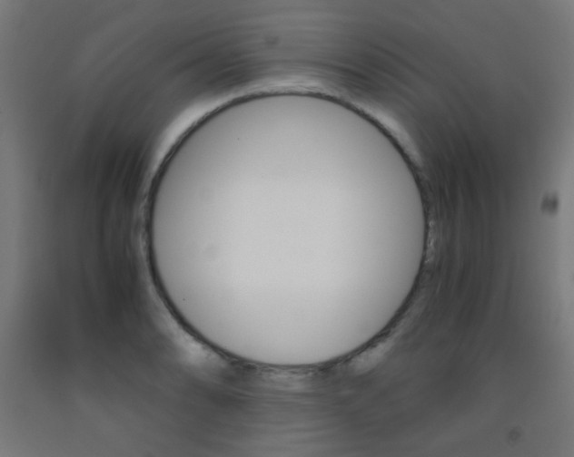 X0000093231086200709261504