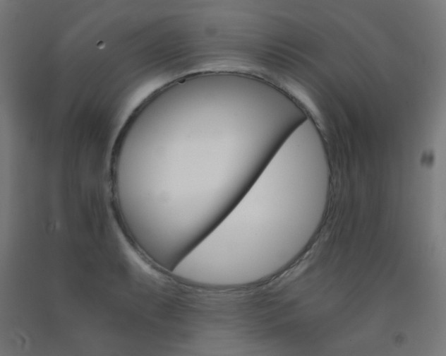 X0000093231087200709261504