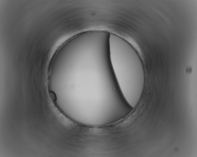 X0000093231088200709261504