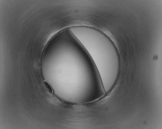 X0000093231089200709261504