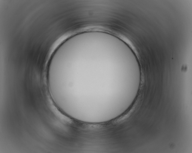 X0000093231090200709261504