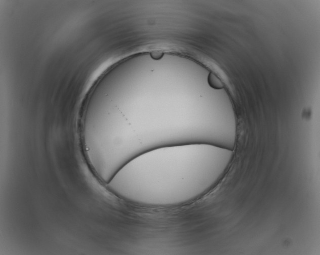 X0000093231091200709261504
